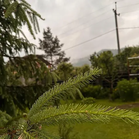 затишна домівка Casa vacanze *