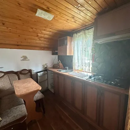затишна домівка Hébergement de vacances Slavsko