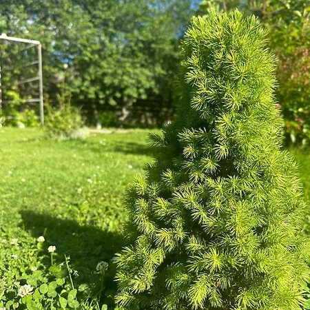 Hébergement de vacances затишна домівка