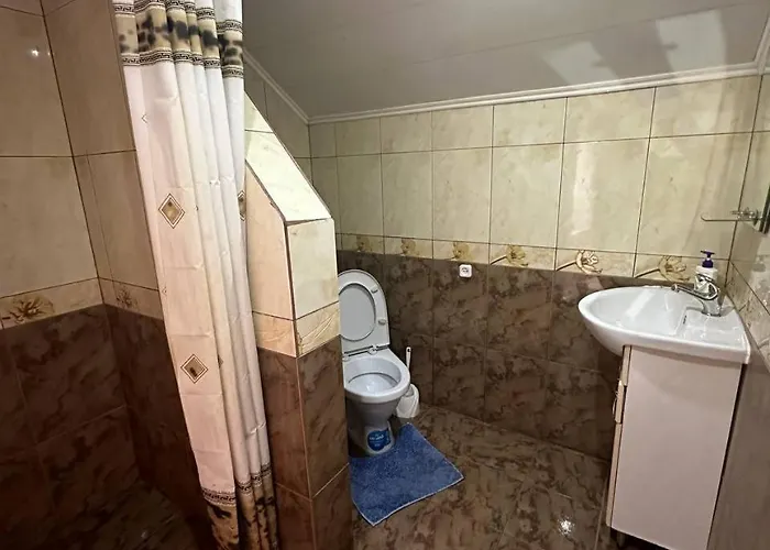 Holiday home затишна домівка Slavske