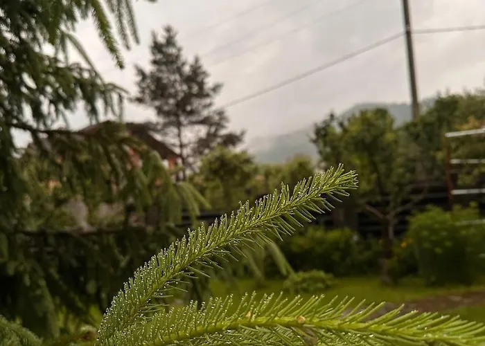 затишна домівка Holiday home *