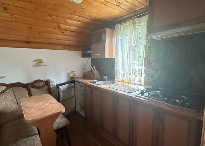 затишна домівка Holiday home Slavske