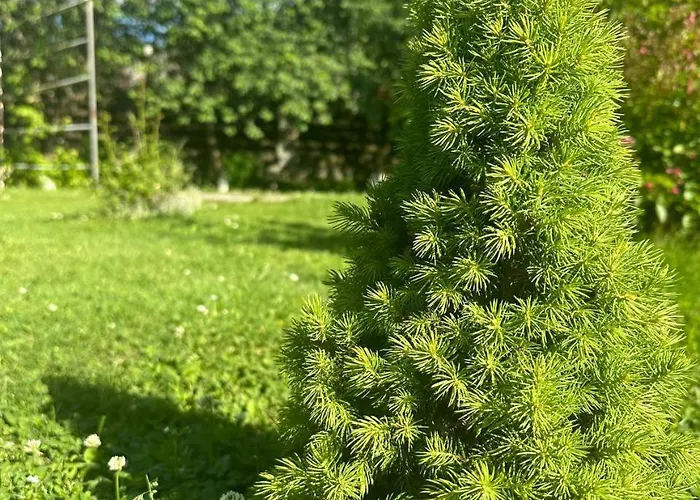 Holiday home затишна домівка