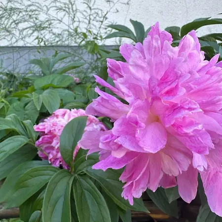затишна домівка * Slavsko